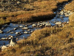 ������, 27 ������� 2014