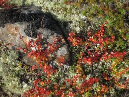 ������, 28 ������� 2014