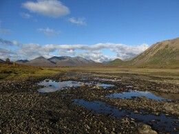 ������, 29 ������� 2014