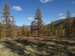 ������, 29 ������� 2014