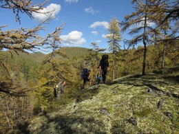 ������, 29 ������� 2014