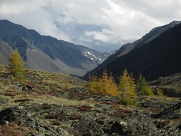 ������, 30 ������� 2014