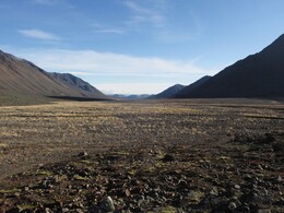 ������, 3 �������� 2014