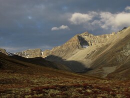 ������, 5 �������� 2014