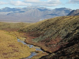 ������, 8 �������� 2014