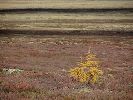 ������, 8 �������� 2014