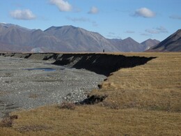 ������, 8 �������� 2014