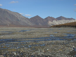 ������ ���� ������, ������, 8 �������� 2014