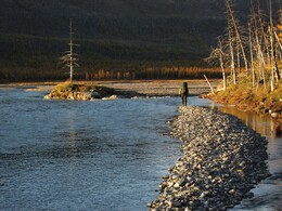 ���� ������, ������, 8 �������� 2014