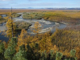 ���� �������, ������, 10 �������� 2014