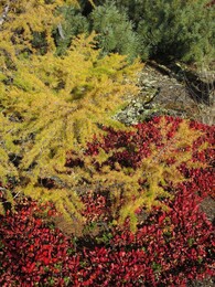 ������, 10 �������� 2014