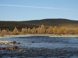 ���� �������, ������, 10 �������� 2014