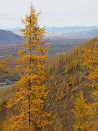 ������, 11 �������� 2014