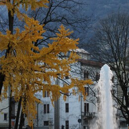 ����� ������, ������, 22 ������ 2014