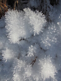 ������, ������, 23 ������ 2014