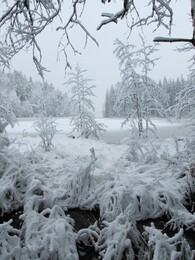 ���������, 13 ������� 2014