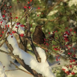 �����, ���������, 25 ������� 2014