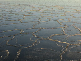 �����, ���������, 25 ������� 2014