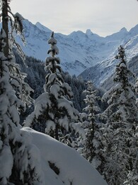 ���������, 18 ������ 2015