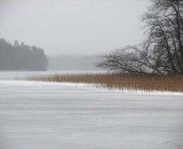 �������, 7 ������� 2015