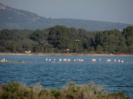 ��������, �������, 8 ������� 2015