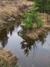 ���������, 7 ����� 2015