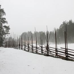 ���������, 8 ����� 2015