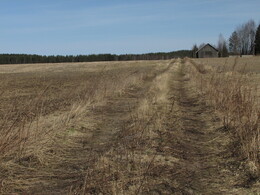 ���������, 11 ������ 2015