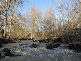 ���������, 11 ������ 2015