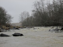 ���������, 12 ������ 2015