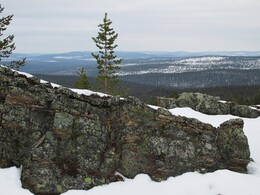 �������� ���������, 17 ������ 2015