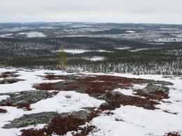 �������� ���������, 18 ������ 2015