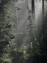 �����, ���������, 10 ��� 2015