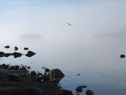 �����, ���������, 10 ��� 2015