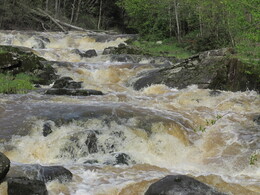 ���� ����� � ������ ���������, ���������, 14 ��� 2015