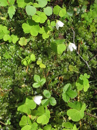 ���������, 14 ��� 2015