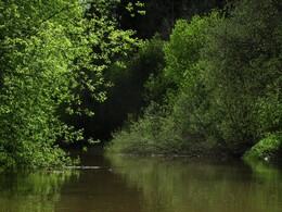 ����� �� ���� �����, ���������, 14 ��� 2015