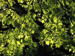 ���������, 23 ��� 2015