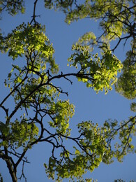 ���������, 23 ��� 2015