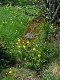 ���������, 24 ��� 2015