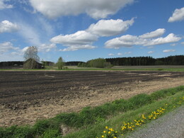 ���������, 24 ��� 2015