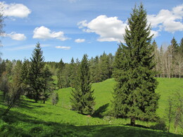 ���������, 24 ��� 2015