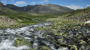 ������������ ������, 9 ���� 2015