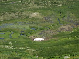 ������������ ������, 11 ���� 2015