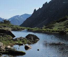 ������������ ������, 11 ���� 2015