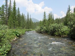 ������������ ������, 16 ���� 2015