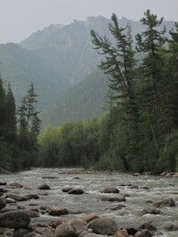 ������������ ������, 16 ���� 2015