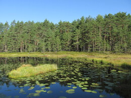 ���������, 22 ������� 2015