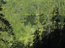 ���������, 22 ������� 2015