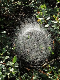 ���������, 30 ������� 2015